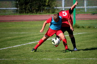 kaiyun中国官方网站-CBA俱乐部深化教练团队专业化建设提升训练质量,cba训练计划