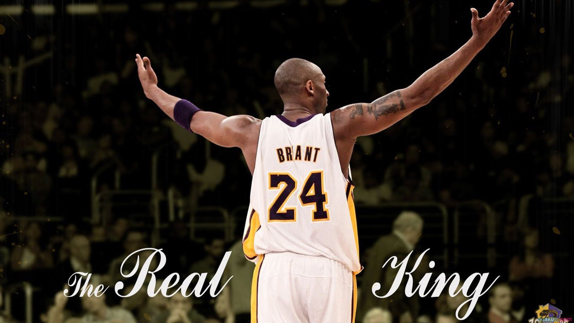 开云体育官方下载-“南非羚羊队的未来：萨尔·巴赫能否带队迎接辉煌？”